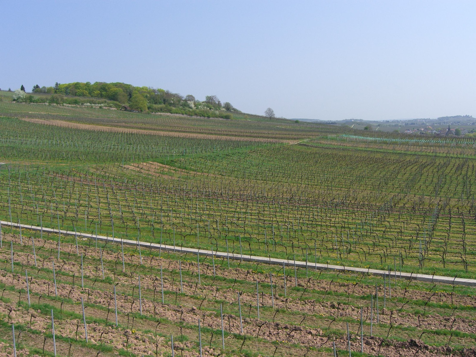 Ruedesheim